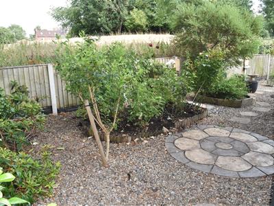 Picture 22